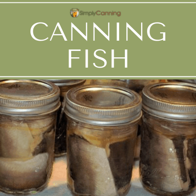 Canning Chicken (How to do it Safely) • The Prairie Homestead