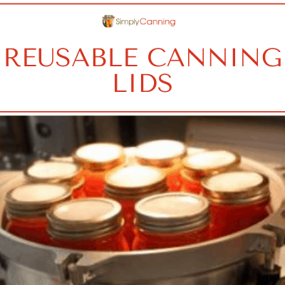 https://www.simplycanning.com/wp-content/uploads/T2_Reusable-canning-lids.png