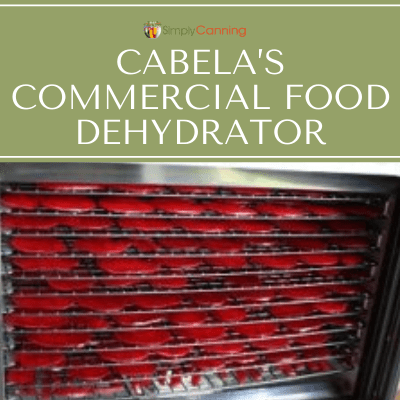 No need to throw away stale - Excalibur Food Dehydrators