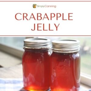 Jam or Jelly Canning is a great first step to canning. Recipes here!