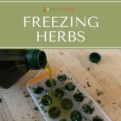 https://www.simplycanning.com/wp-content/uploads/T2_freezing-herbs.jpg