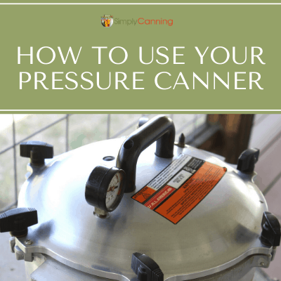 All-American Pressure Canner/Cooker, Model 925 25 Quart | lupon.gov.ph