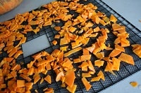 https://www.simplycanning.com/wp-content/uploads/cabelas-commercial-dehydrator-trays.jpg