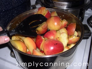 canning applesauce