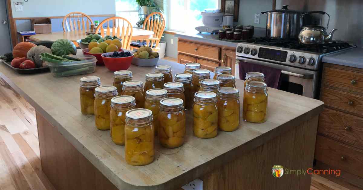 Is Instant Pot Canning Safe? - Attainable Sustainable
