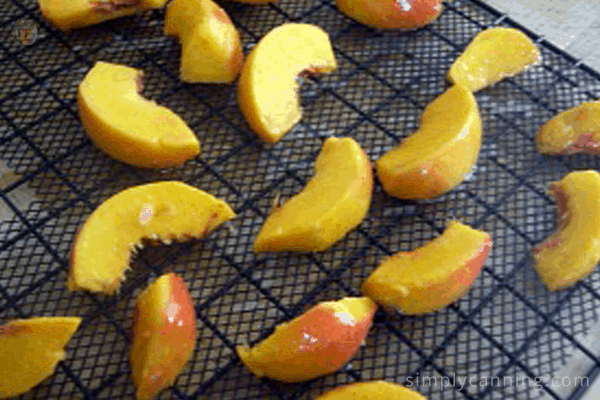 https://www.simplycanning.com/wp-content/uploads/dehydrating-fruit1.png
