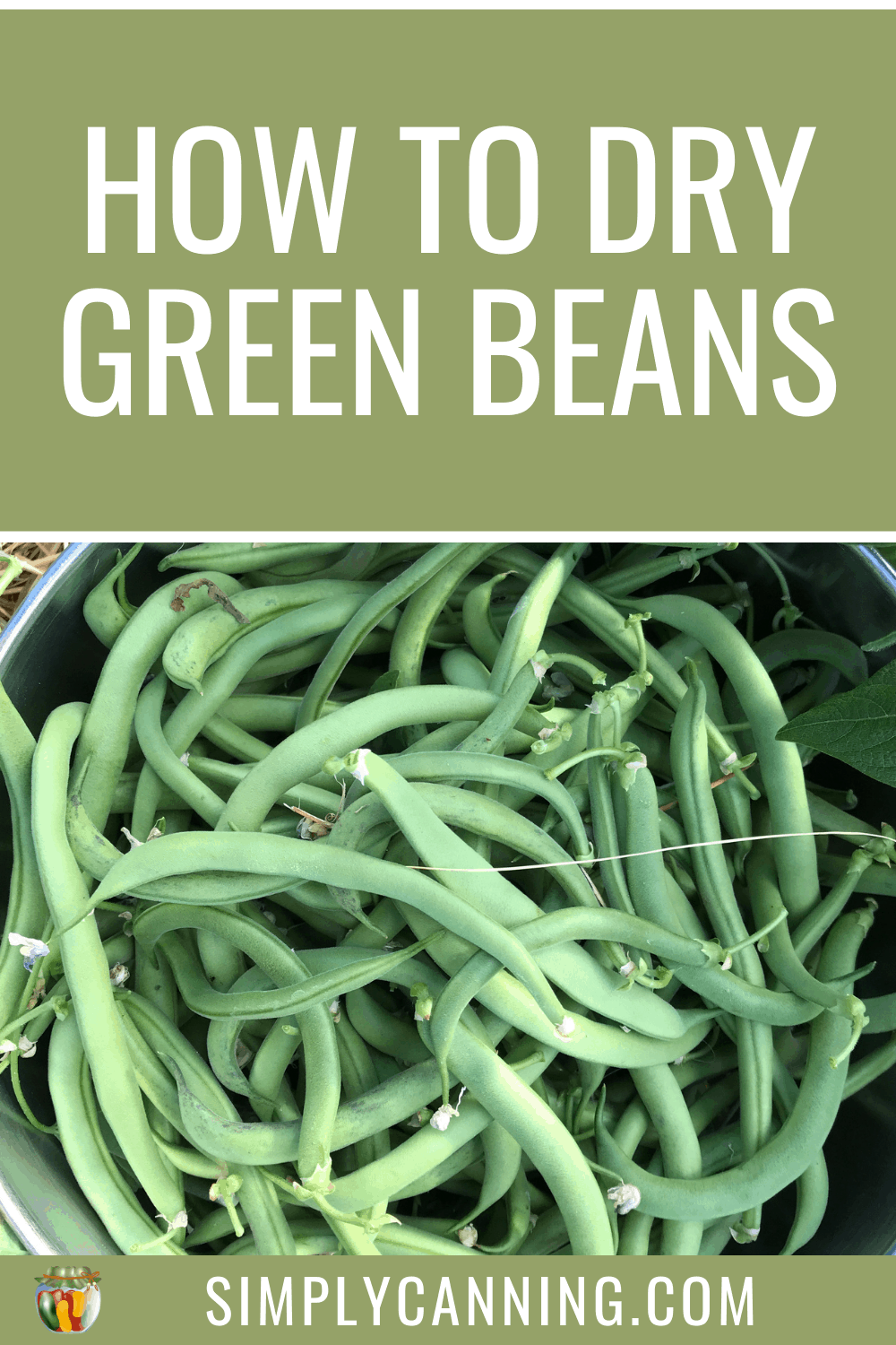 Dehydrating Green Beans: How to Dry Green Beans for Storage