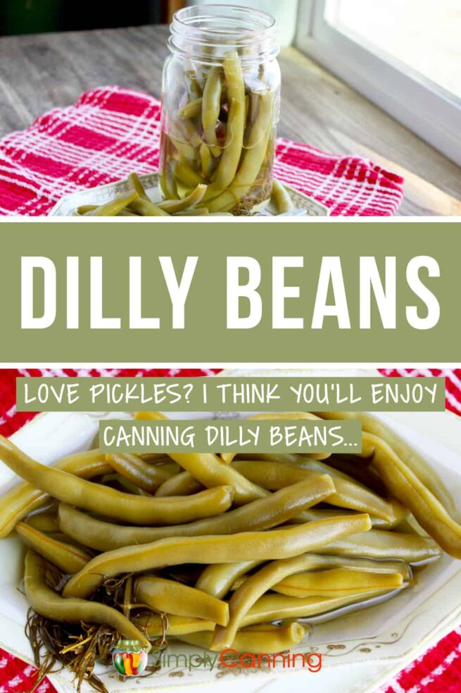 Dilly beans are a special treat. Garlic or spicy, you determine the flavor.