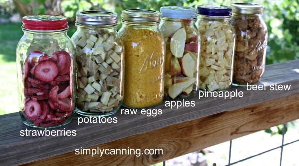 https://www.simplycanning.com/wp-content/uploads/freeze-dried-foods-labeled.jpg