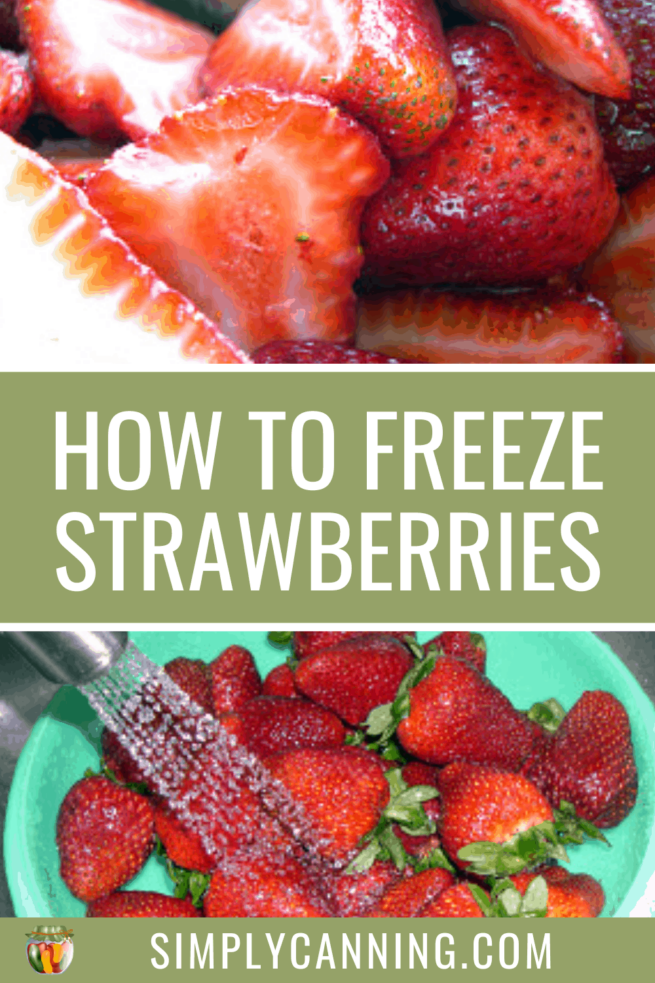 How to freeze strawberries, whole or pureed for smoothies!