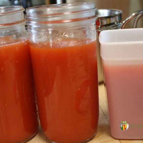 Jars and freezer containers full of tomato sauce.