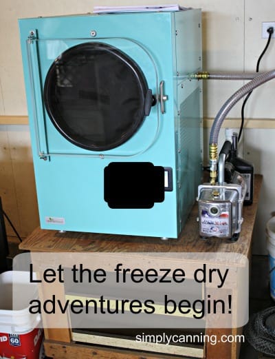 The Game-Changing Benefits of a Fruits Drying Machine - Why You Need One  Now!