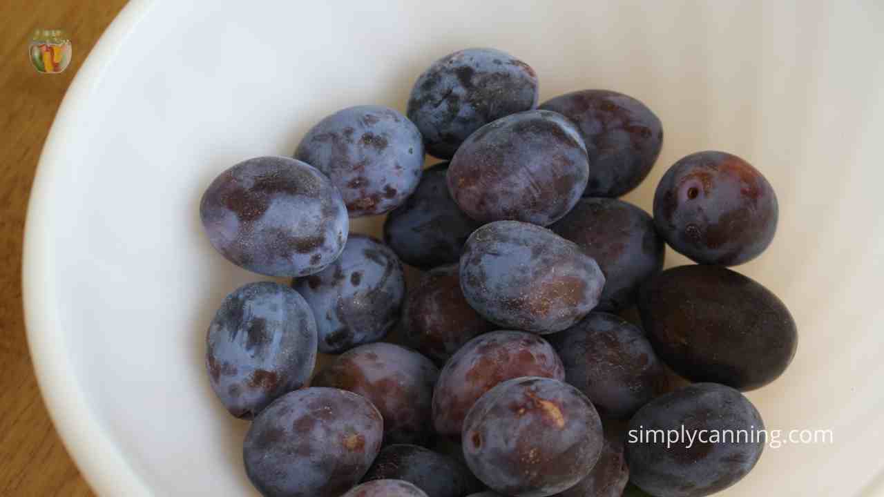 Ripe plums in a white bowl.