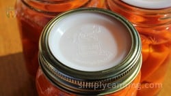 https://www.simplycanning.com/wp-content/uploads/reusable-canning-lids2.jpg