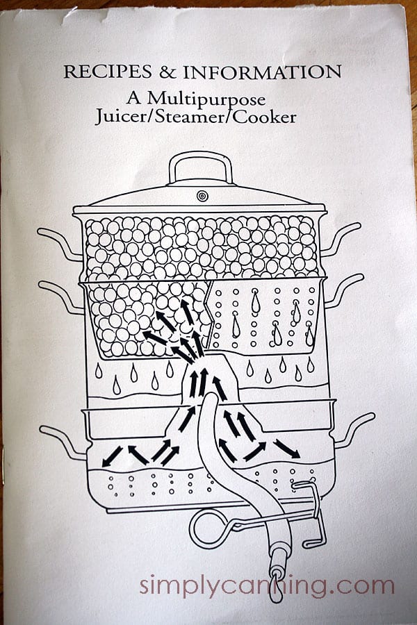 steam juicer
