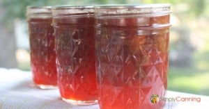 Three small jars of strawberry rhubarb jam that is a bright red color.
